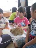 学校飼育動物支援活動1